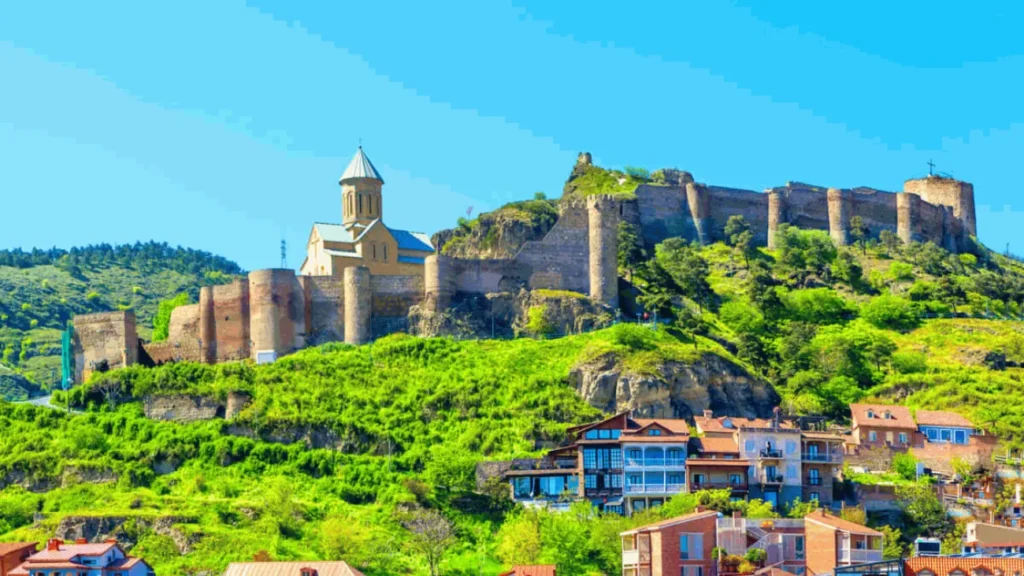 Talebin coğrafyası: Doğu Avrupalı alıcılar Gürcistan'a nasıl yatırım yapıyor?