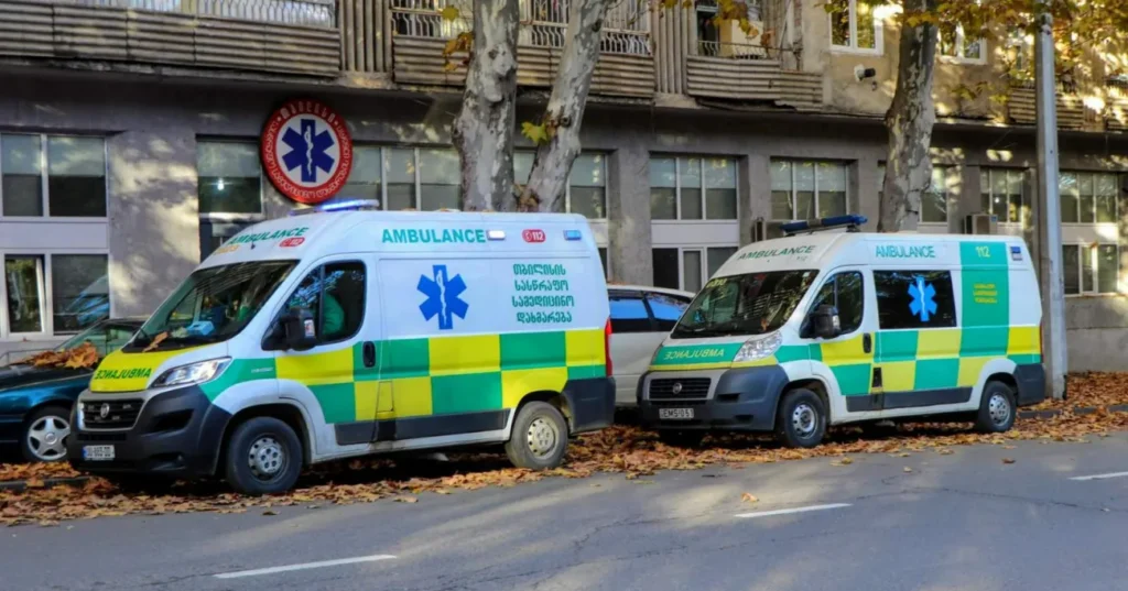 Ailenin Gürcistan'a taşınması: okullar, tıp, altyapı