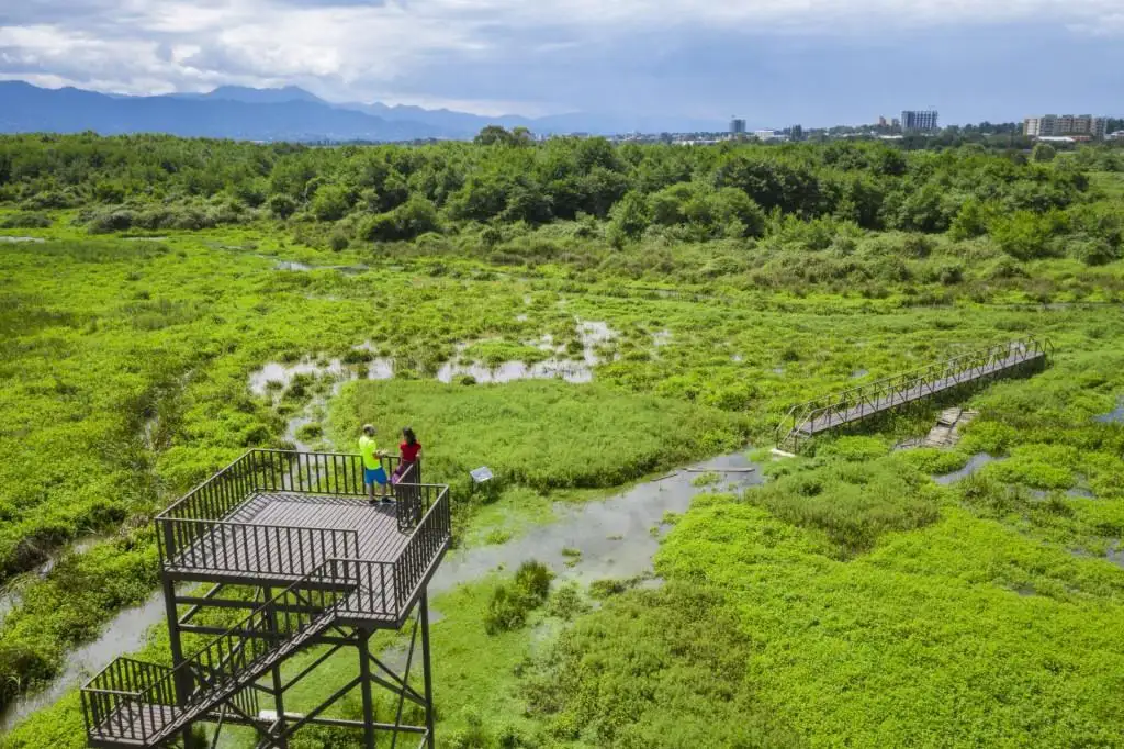 Alliance Renaissance