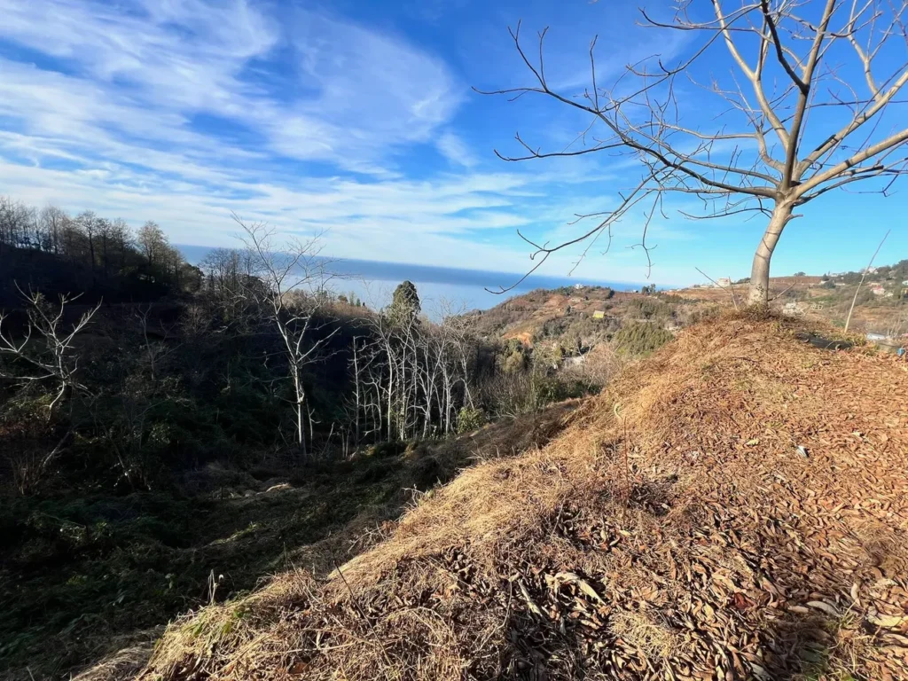 Terreno con vista panoramica 2400 m²