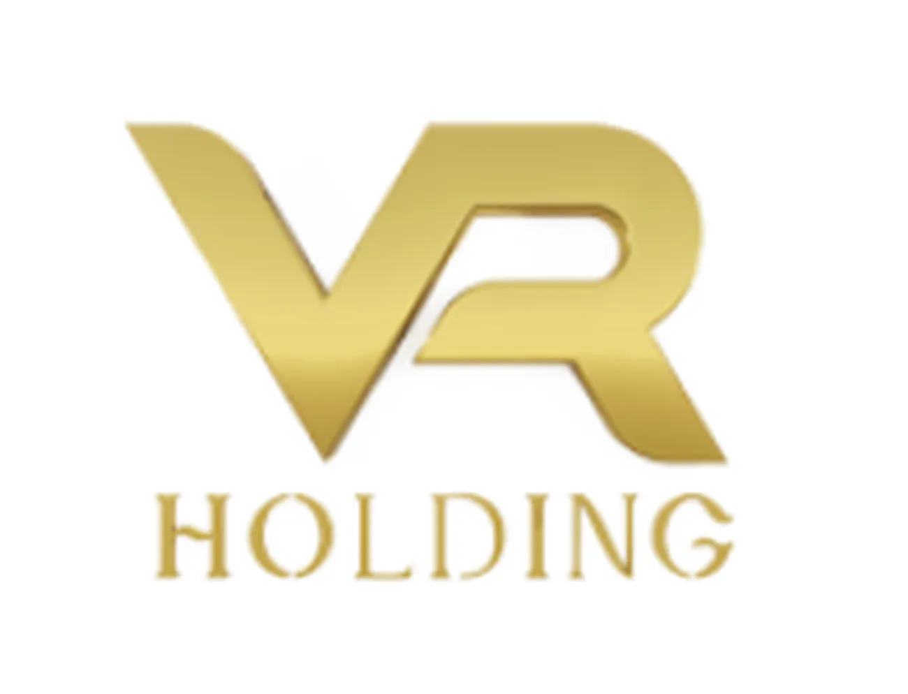 VR Holding