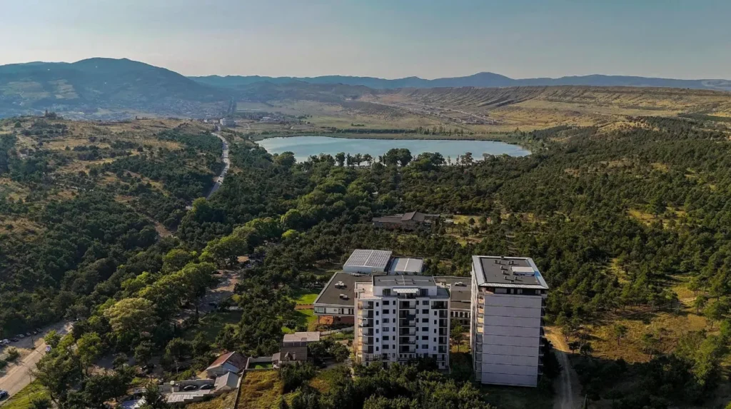 Eco Lisi
