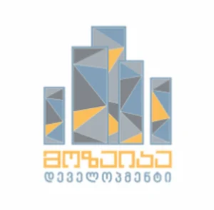 Mosaic Development