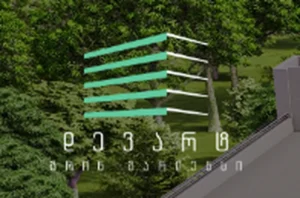 Roomix Development